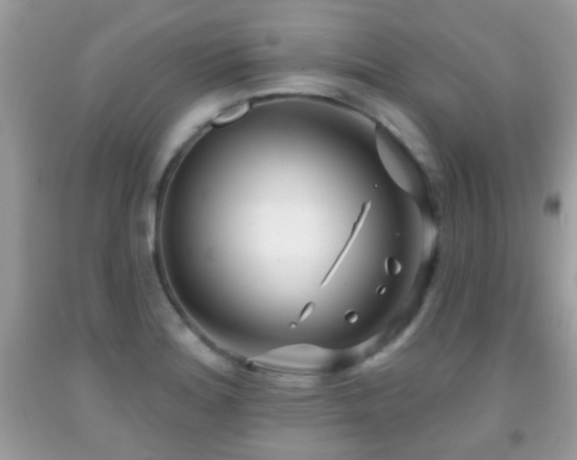 X0000091991180200709061412