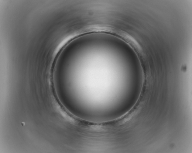 X0000091991182200709061412
