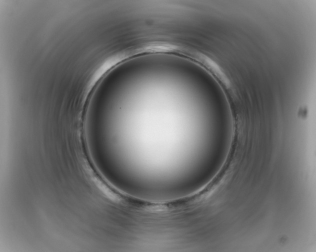 X0000091991186200709061412