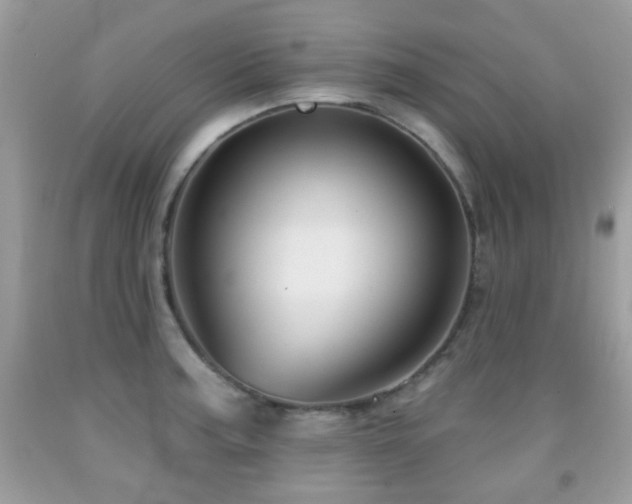 X0000091991187200709061412