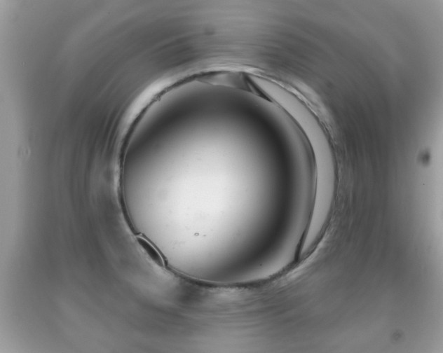 X0000091991188200709061412