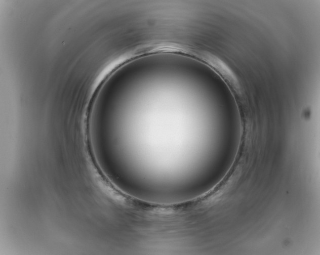 X0000091991190200709061412