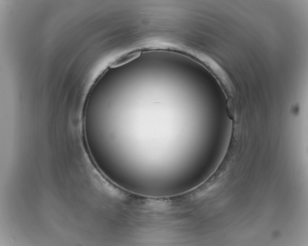 X0000091991191200709061412