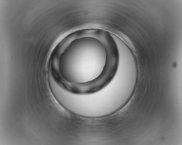 X0000091991192200709061412