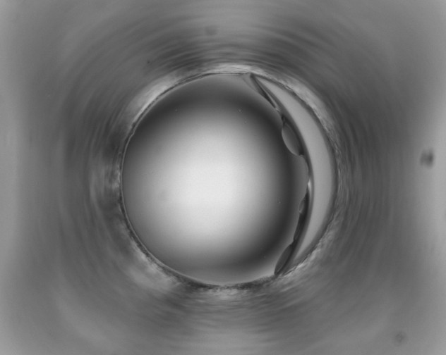 X0000091991193200709061412