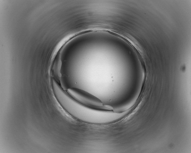 X0000091991196200709061412
