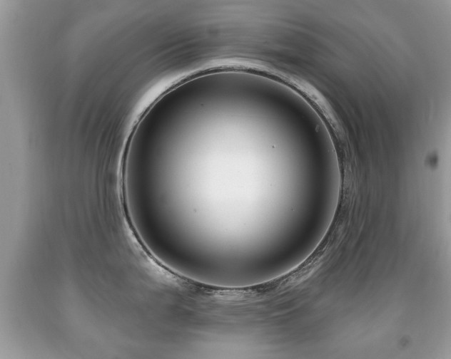 X0000091991199200709061412