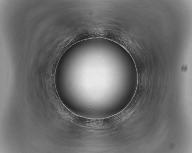 X0000091991201200709061411