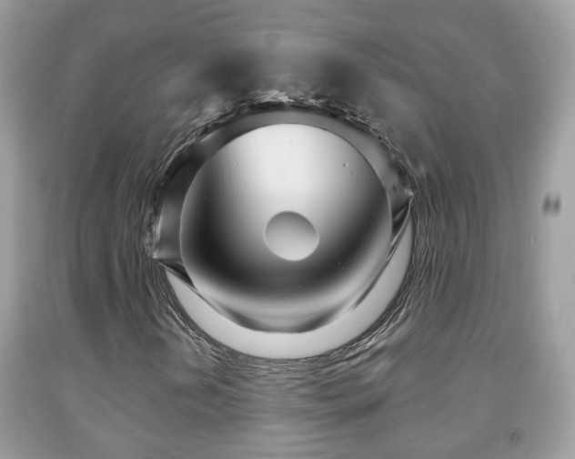 X0000091991202200709061411