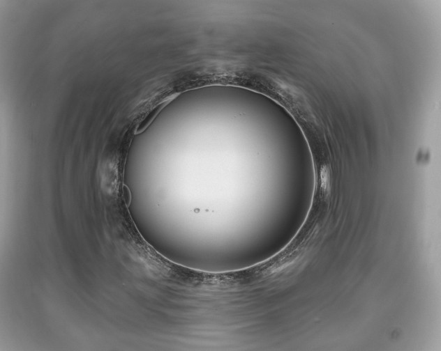 X0000091991203200709061411