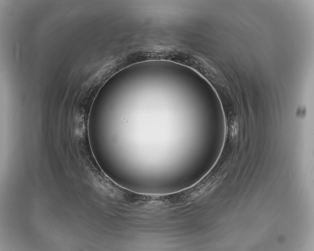 X0000091991204200709061411