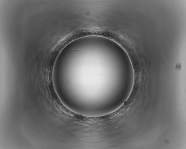 X0000091991205200709061411