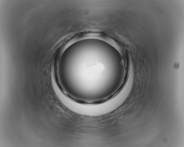 X0000091991206200709061411