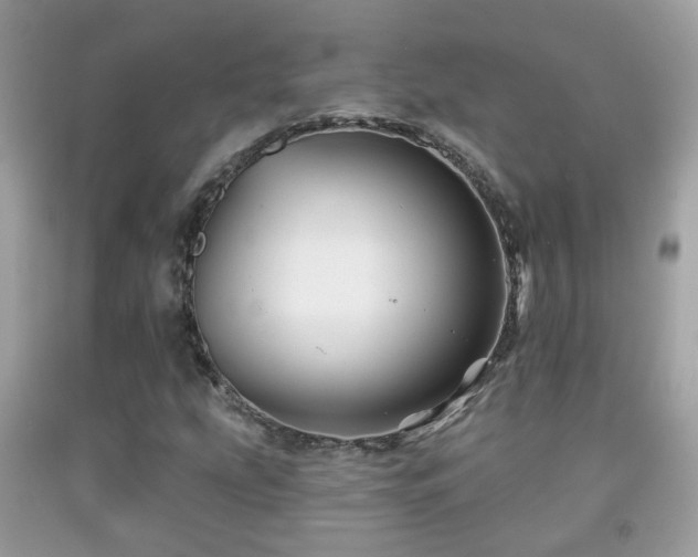 X0000091991207200709061411