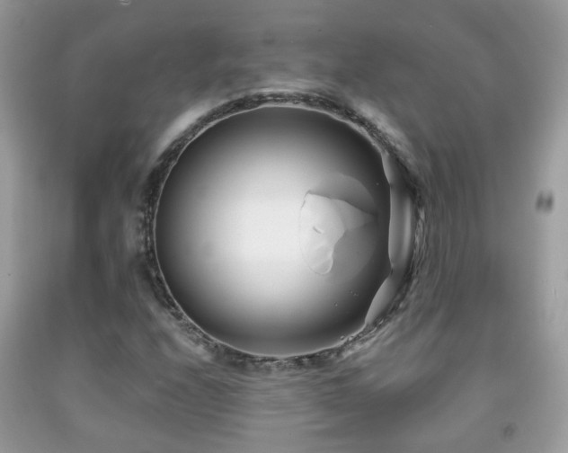 X0000091991208200709061411