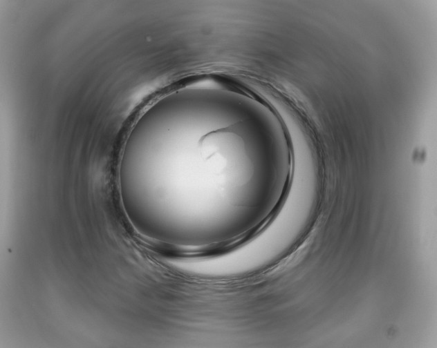 X0000091991210200709061411