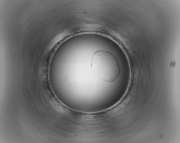 X0000091991211200709061411