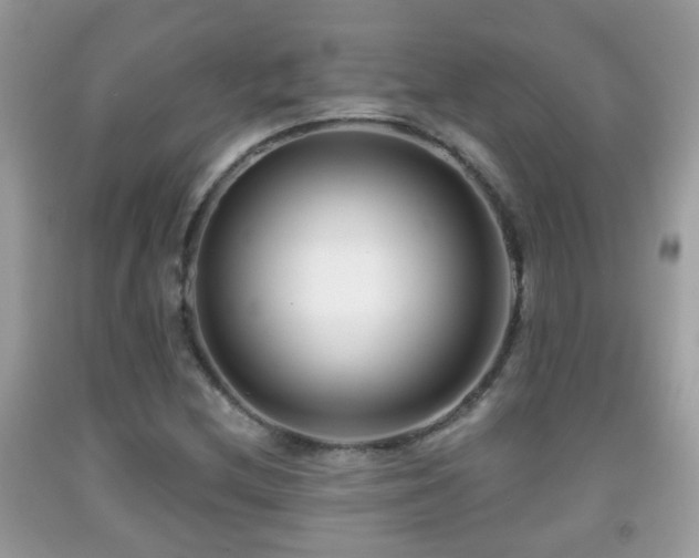X0000091991212200709061411
