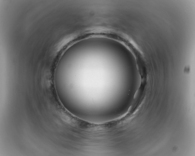 X0000091991213200709061411