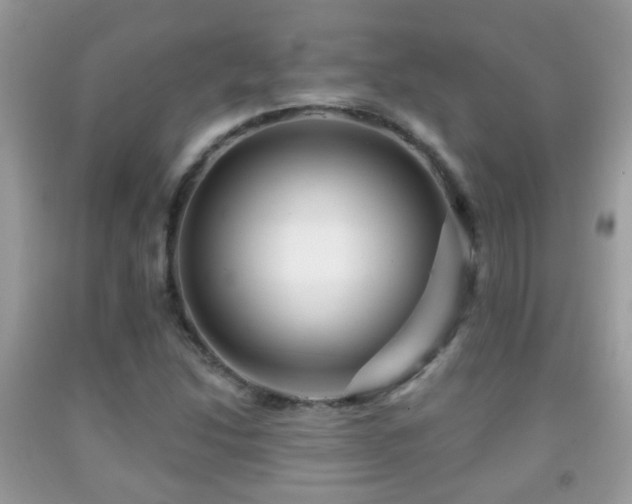 X0000091991214200709061411