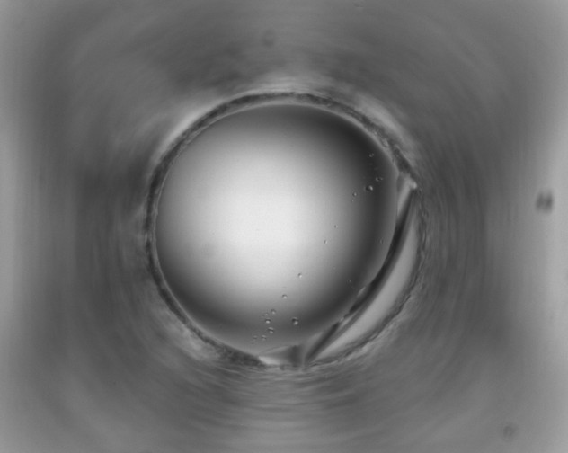 X0000091991216200709061412