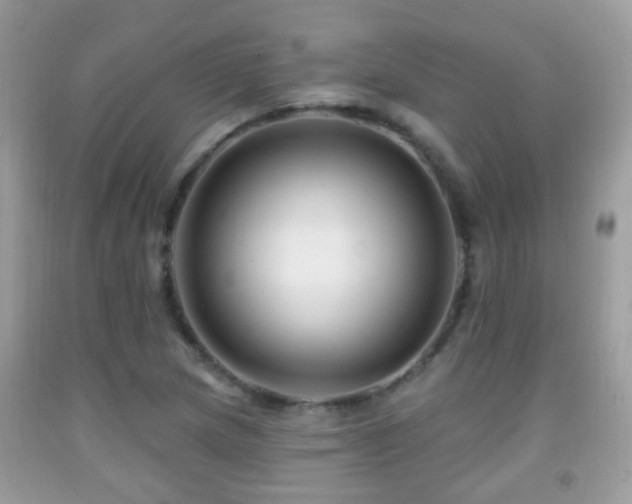 X0000091991217200709061412