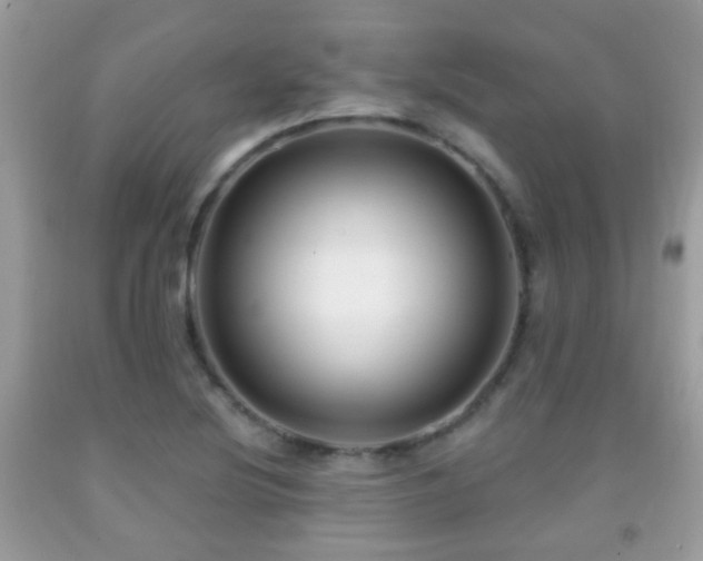 X0000091991220200709061412