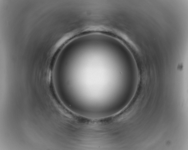 X0000091991221200709061412