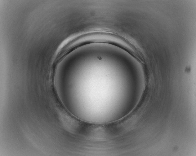X0000091991222200709061412