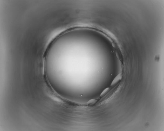 X0000091991223200709061412