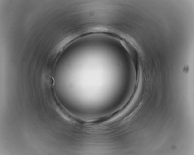 X0000091991225200709061412