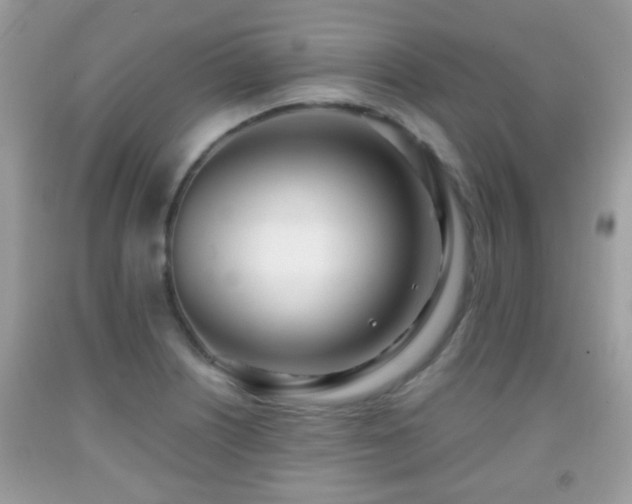 X0000091991226200709061412