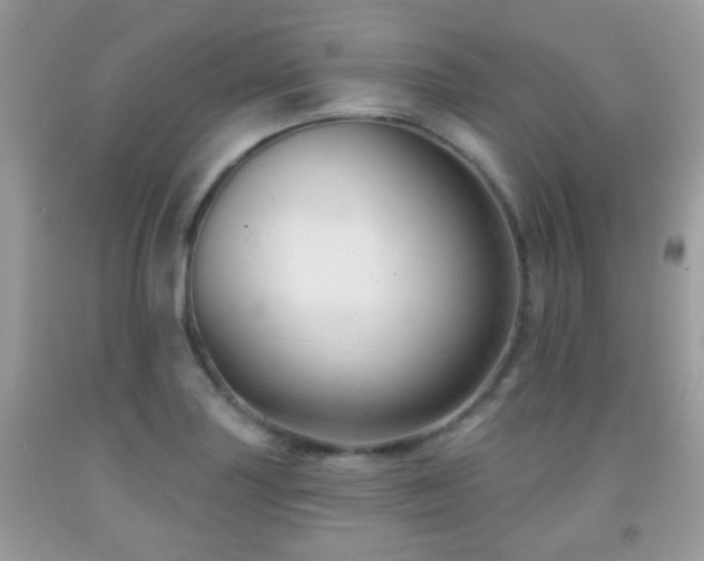 X0000091991227200709061412