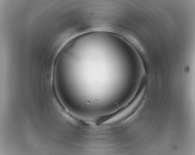 X0000091991228200709061412