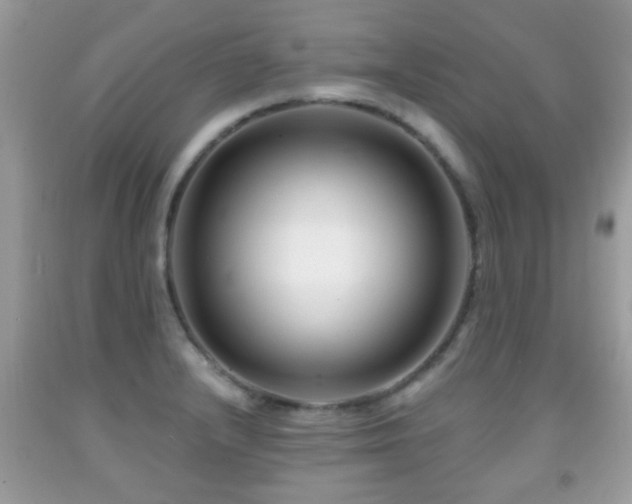 X0000091991232200709061412