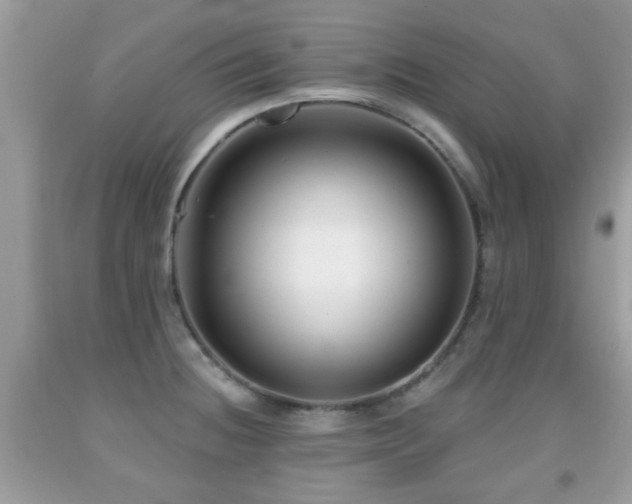 X0000091991236200709061412