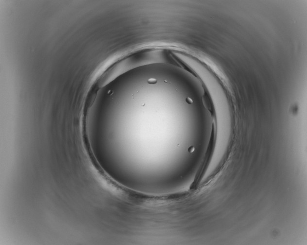 X0000091991237200709061412