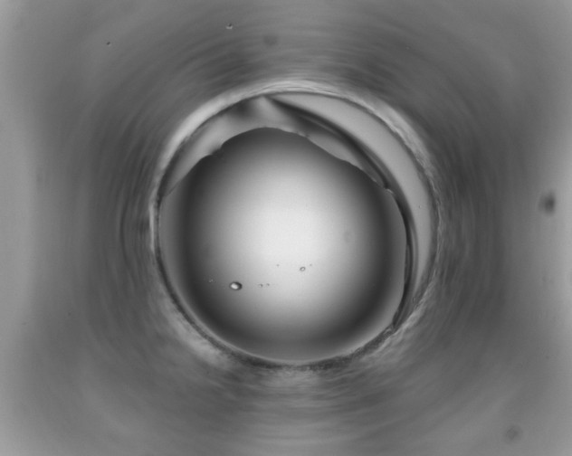 X0000091991238200709061412