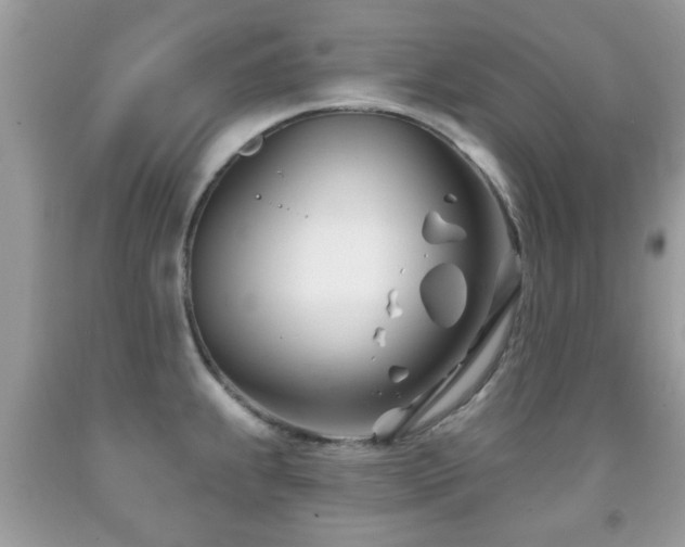 X0000091991239200709061412
