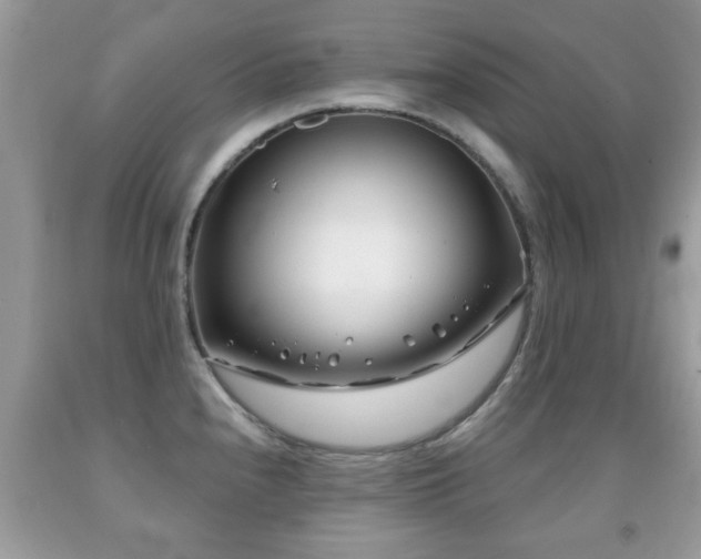 X0000091991240200709061412