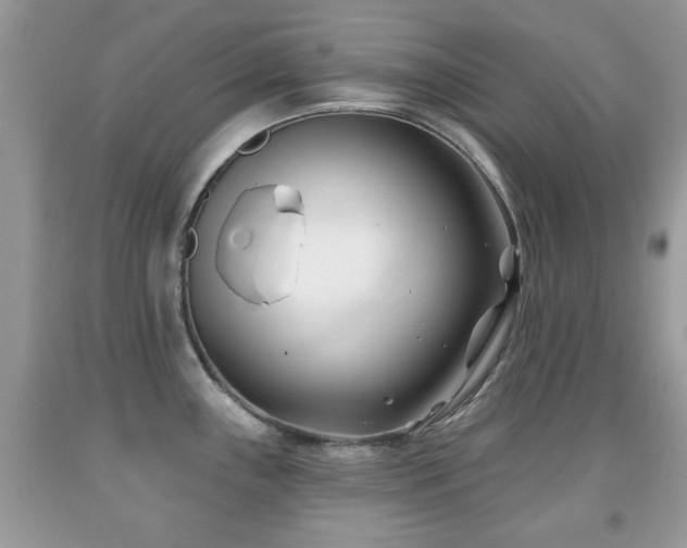 X0000091991243200709061412