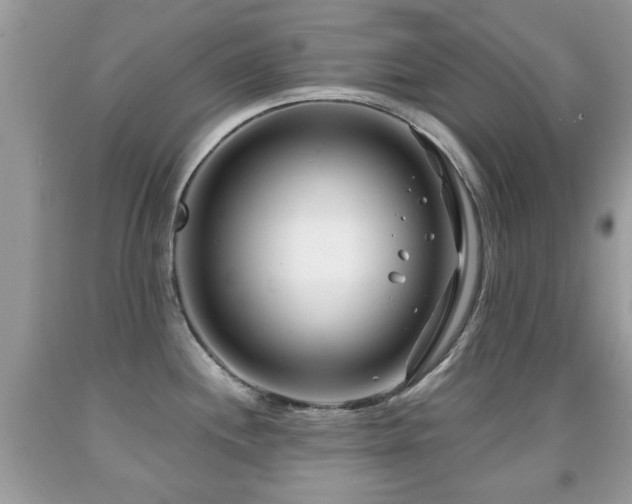 X0000091991244200709061412