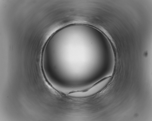 X0000091991245200709061412