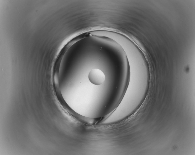 X0000091991246200709061412