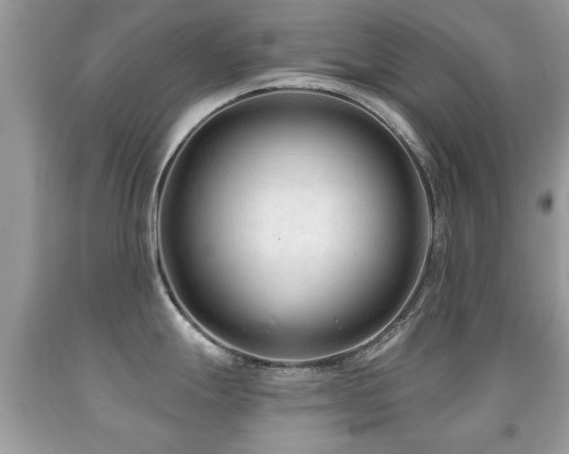 X0000091991247200709061412