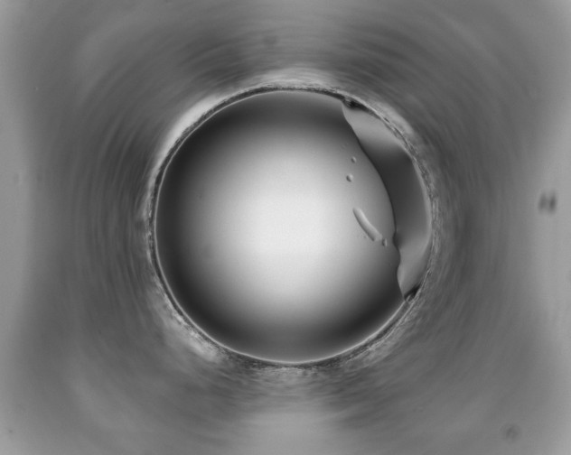 X0000091991248200709061412