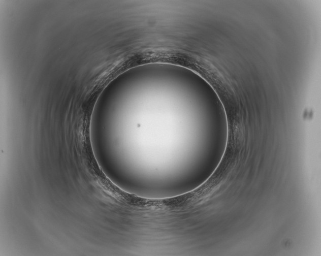 X0000091991250200709061411