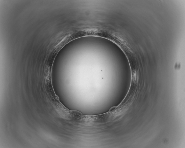 X0000091991251200709061411