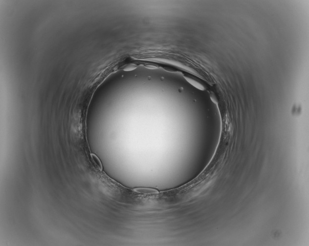 X0000091991252200709061411