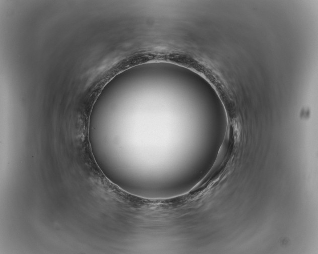 X0000091991253200709061411